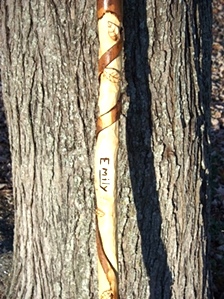 Hand Carved Walking Sticks and canes