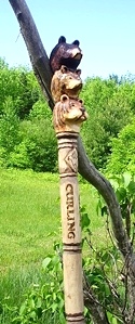 Hand Carved Walking Stick      