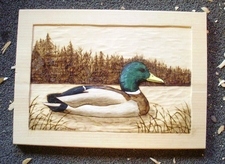 Hand Carved Mallard Relief