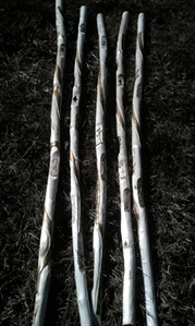 Hand Carved Story Canes