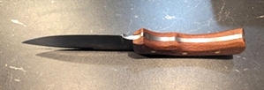 Custom Ranger Knife 